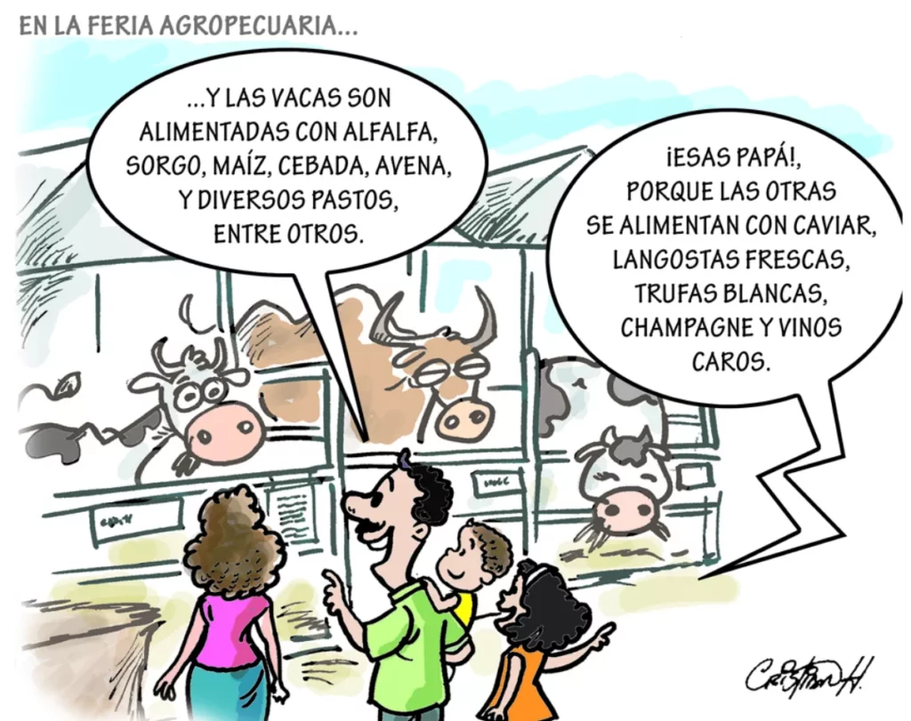 20na2-2p01