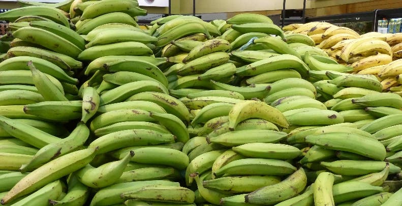 El  plátano subió de un promedio de 10 pesos a 25 pesos.