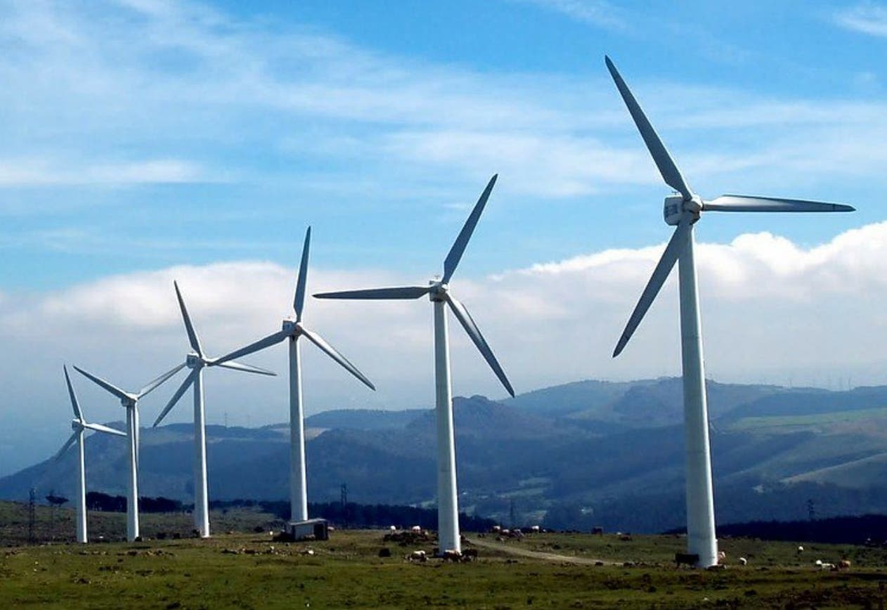 El país tiene capacidad de producir 2,000 megavatios de energía limpia eólica.  Archivo