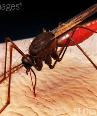 http://eldia.com.do/image/article/4/460×390/0/28C0CA42-1C8D-4949-BE92-0236EE16D582.jpeg