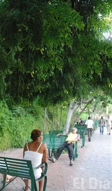 http://eldia.com.do/image/article/5/460×390/0/8C9B6348-4C64-45C1-9C87-669CF93FCC3D.jpeg