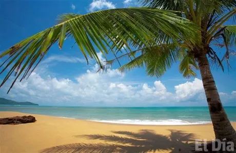 http://eldia.com.do/image/article/3/460×390/0/D09B6FEA-0F3C-412E-9CE1-16CD86A92693.jpeg http://eldia.com.do/image/article/3/460×390/0/D09B6FEA-0F3C-412E-9CE1-16CD86A92693.jpeg