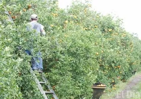 http://eldia.com.do/image/article/3/460×390/0/F83BCBB1-02BD-4346-9A75-906D226D3A69.jpeg
