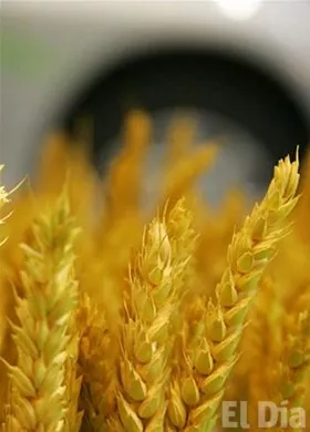 http://eldia.com.do/image/article/8/460×390/0/73228F6B-2F9C-41F3-B005-D3CDC6D9C9F0.jpeg