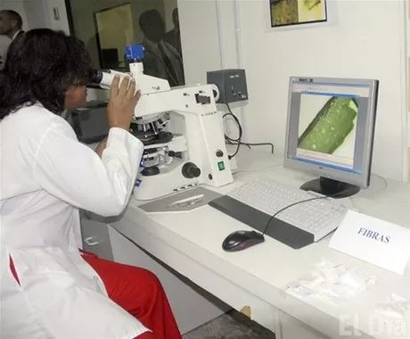 http://eldia.com.do/image/article/9/460×390/0/953D151E-08C7-48EA-AE35-6066953BA202.jpeg