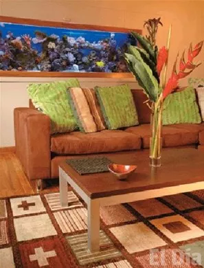 http://eldia.com.do/image/article/10/460×390/0/2A5CEC2D-79E0-4FC0-840D-E9AD88D04453.jpeg