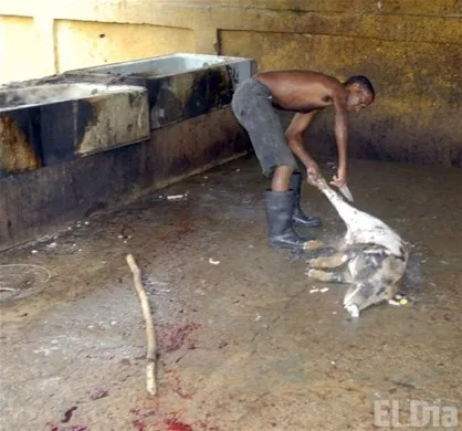 http://eldia.com.do/image/article/11/460×390/0/76E04E6F-AAFB-428E-B025-7AC0E2EBF103.jpeg