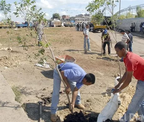 http://eldia.com.do/image/article/13/460×390/0/1319A6E3-E3F9-48C9-8093-41400FB336A4.jpeg