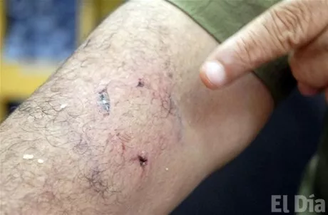 http://eldia.com.do/image/article/13/460×390/0/5BA0DFF0-4527-40CD-9B14-75E0691F051C.jpeg