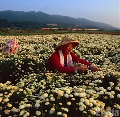 http://eldia.com.do/image/article/13/460×390/0/7963D838-3995-4B4D-BF44-3BE665D6F2EC.jpeg