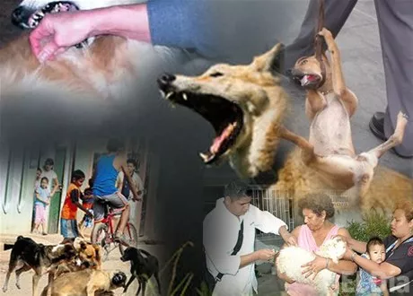 http://eldia.com.do/image/article/13/460×390/0/EDC5C865-49D8-4219-887B-8ADB01527A16.jpeg http://eldia.com.do/image/article/13/460×390/0/EDC5C865-49D8-4219-887B-8ADB01527A16.jpeg