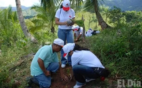 http://eldia.com.do/image/article/13/460×390/0/F6458611-3A06-4898-94F0-E90E96B9FAAC.jpeg