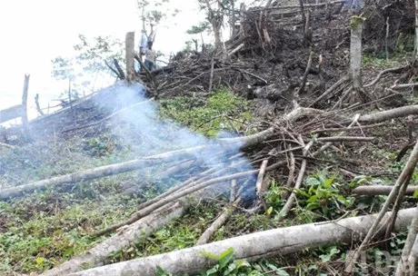 http://eldia.com.do/image/article/15/460×390/0/120D41C8-7490-4E3B-B008-1FB6CBD40FE3.jpeg