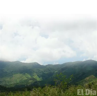 http://eldia.com.do/image/article/14/460×390/0/ACAA2C76-A737-4662-927B-7F7EC36E9BEA.jpeg