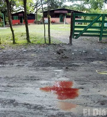 http://eldia.com.do/image/article/16/460×390/0/C4968F5C-1E3C-41AC-AEFA-0613DCA6DF00.jpeg