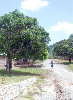 http://eldia.com.do/image/article/16/460×390/0/CCD07866-CFE1-442E-A0B5-C9CF68A4B1A1.jpeg