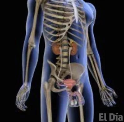 http://eldia.com.do/image/article/16/460×390/0/FEEFC8A0-09ED-4063-89ED-D6707F300D44.jpeg