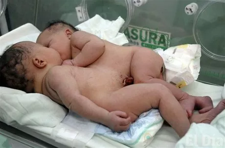 http://eldia.com.do/image/article/25/460×390/0/0D7A3F78-1DF2-40E8-8CFE-B37FE5CF88B9.jpeg
