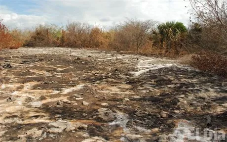 http://eldia.com.do/image/article/25/460×390/0/244141CA-0679-462A-A052-CA57101A7566.jpeg