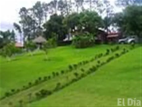 http://eldia.com.do/image/article/27/460×390/0/3557F856-0437-4A9B-A73A-341728D68A6A.jpeg