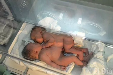 http://eldia.com.do/image/article/26/460×390/0/43FC9E07-3B65-4615-9CE7-8B32AE317AD3.jpeg