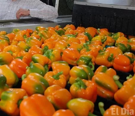 http://eldia.com.do/image/article/26/460×390/0/6E75318E-EC9B-4191-8542-B7E854E18A05.jpeg