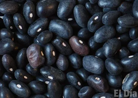 http://eldia.com.do/image/article/25/460×390/0/8AF2A5E6-FAEB-46B5-8CF0-F7282D7F6E20.jpeg