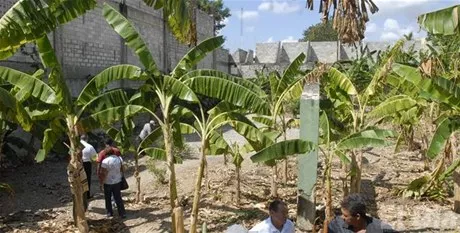 http://eldia.com.do/image/article/26/460×390/0/8C3AAC31-ABC3-4D96-B937-12F631D6B9FC.jpeg