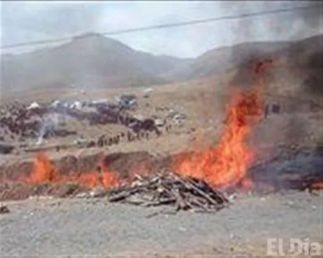 http://eldia.com.do/image/article/26/460×390/0/E9F7DE3A-A4AC-40DE-9162-FB214E8D8F81.jpeg