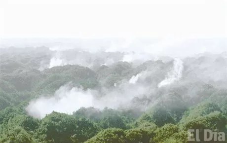 http://eldia.com.do/image/article/25/460×390/0/FF10F790-612F-412F-AA6A-B07C69E934F6.jpeg