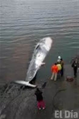 http://eldia.com.do/image/article/28/460×390/0/3245F37E-EB52-44DC-BAA9-6C382F9A1B6E.jpeg