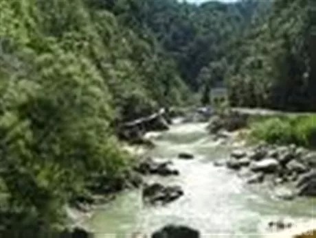 http://eldia.com.do/image/article/29/460×390/0/9B3EC3F9-F666-4462-B963-CBD194B64B44.jpeg