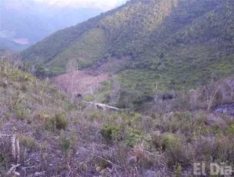 http://eldia.com.do/image/article/29/460×390/0/B367B0F5-7E6D-4CD8-AEA5-F014966C0ABE.jpeg