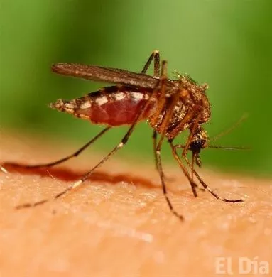 http://eldia.com.do/image/article/32/460×390/0/0C5C0D1C-5213-4430-A13E-7D341351FA43.jpeg