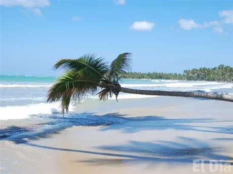 http://eldia.com.do/image/article/30/460×390/0/268ABA09-A7B5-42F7-AD05-6FFCC5713D8F.jpeg