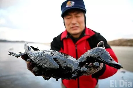 http://eldia.com.do/image/article/30/460×390/0/5DE34EFA-3AE1-408B-B485-65D2FF88FAC9.jpeg