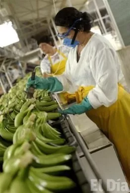 http://eldia.com.do/image/article/34/460×390/0/2CF268C2-FFED-46AF-B9A1-DE78E6DA8A02.jpeg