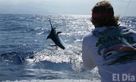 http://eldia.com.do/image/article/34/460×390/0/AF74B863-045C-4EBB-8328-3CE02F993849.jpeg