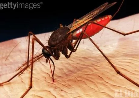 http://eldia.com.do/image/article/34/460×390/0/FE8147B6-EAC2-482B-AC1D-0227C050DAE6.jpeg