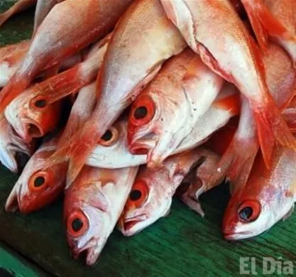 http://eldia.com.do/image/article/37/460×390/0/B97A9DED-01AB-4696-8810-99F444A509CC.jpeg