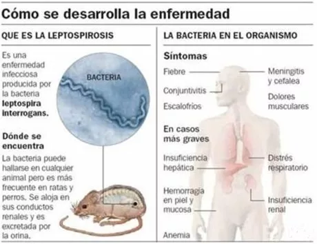 http://eldia.com.do/image/article/36/460×390/0/F2F04292-E401-4EA2-BEB7-7F8AD88F28AC.jpeg