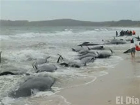 http://eldia.com.do/image/article/39/460×390/0/1316CE36-0F0D-458B-8763-60B11A0445A8.jpeg