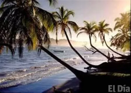 http://eldia.com.do/image/article/39/460×390/0/9771C9FC-25C8-42B1-8502-EE4E44D4FACD.jpeg