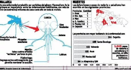 http://eldia.com.do/image/article/38/460×390/0/C42EE68E-CCEC-4B36-9216-60E878127CBE.jpeg