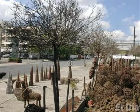 http://eldia.com.do/image/article/40/460×390/0/05BB7594-3684-4BBF-BBB7-0C8EFD7C746B.jpeg