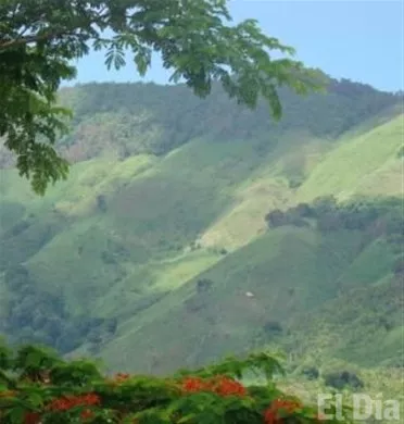 http://eldia.com.do/image/article/41/460×390/0/60033321-A22F-4ADA-8B3F-2D01BFCCCFD0.jpeg