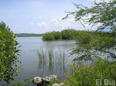 http://eldia.com.do/image/article/40/460×390/0/8644899B-79C9-4155-847B-C81CFAD7A07D.jpeg
