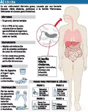 http://eldia.com.do/image/article/44/460×390/0/0C873984-1B76-4CC9-956F-035E45784077.jpeg
