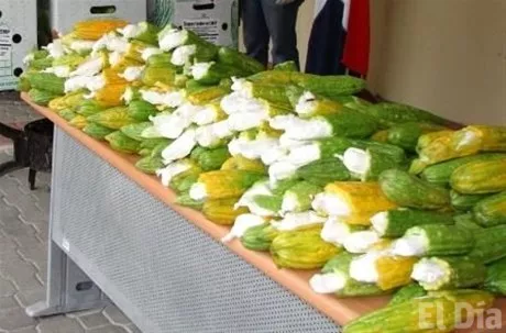 http://eldia.com.do/image/article/43/460×390/0/92692067-5264-4998-A5D8-C49EEECC39CA.jpeg