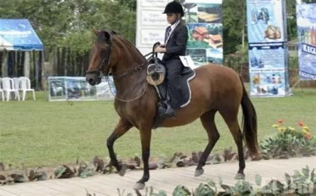 http://eldia.com.do/image/article/48/460×390/0/BB5B79C1-CCF7-4866-905E-D73481FD4E1C.jpeg